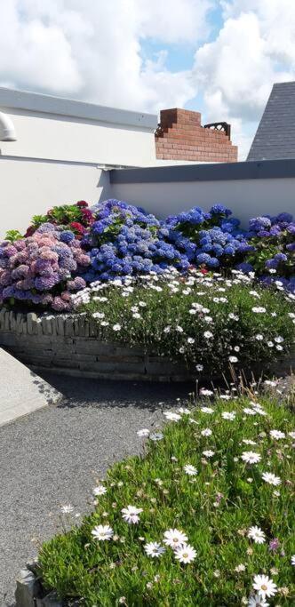 Clairhouse Accommodation Lahinch Extérieur photo